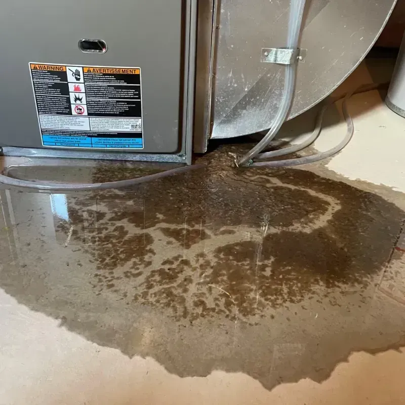 Appliance Leak Cleanup in Washington County, TN